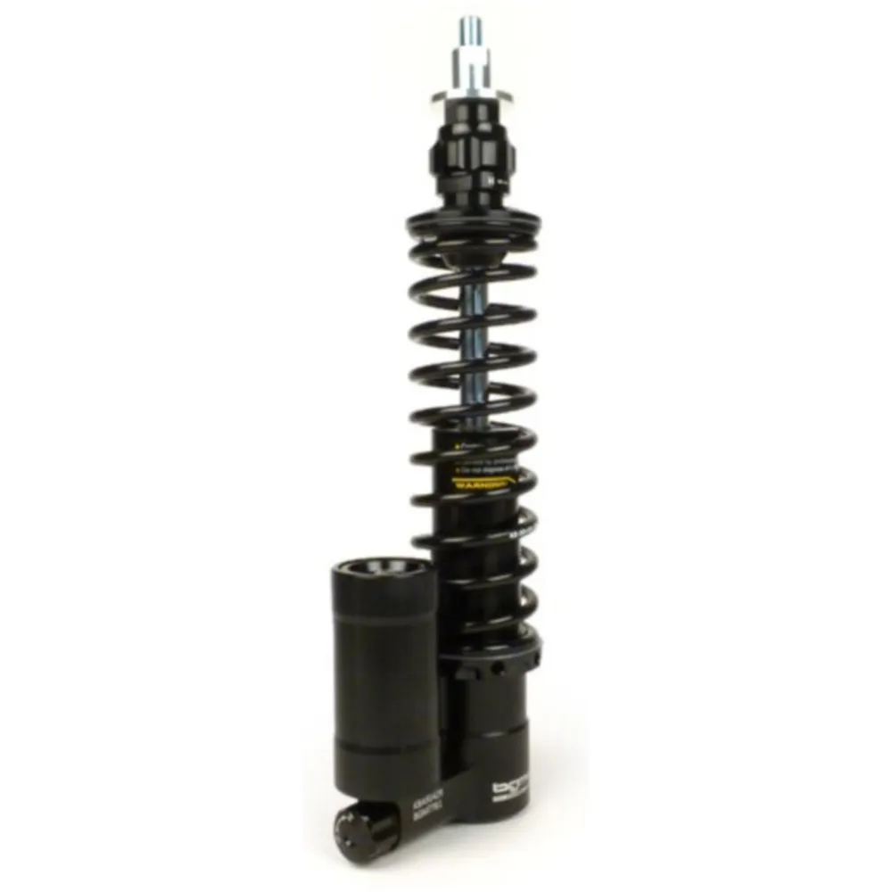 Front shock absorber -BGM PRO SC/F16 COMPETITION, 240mm- Ves_1
