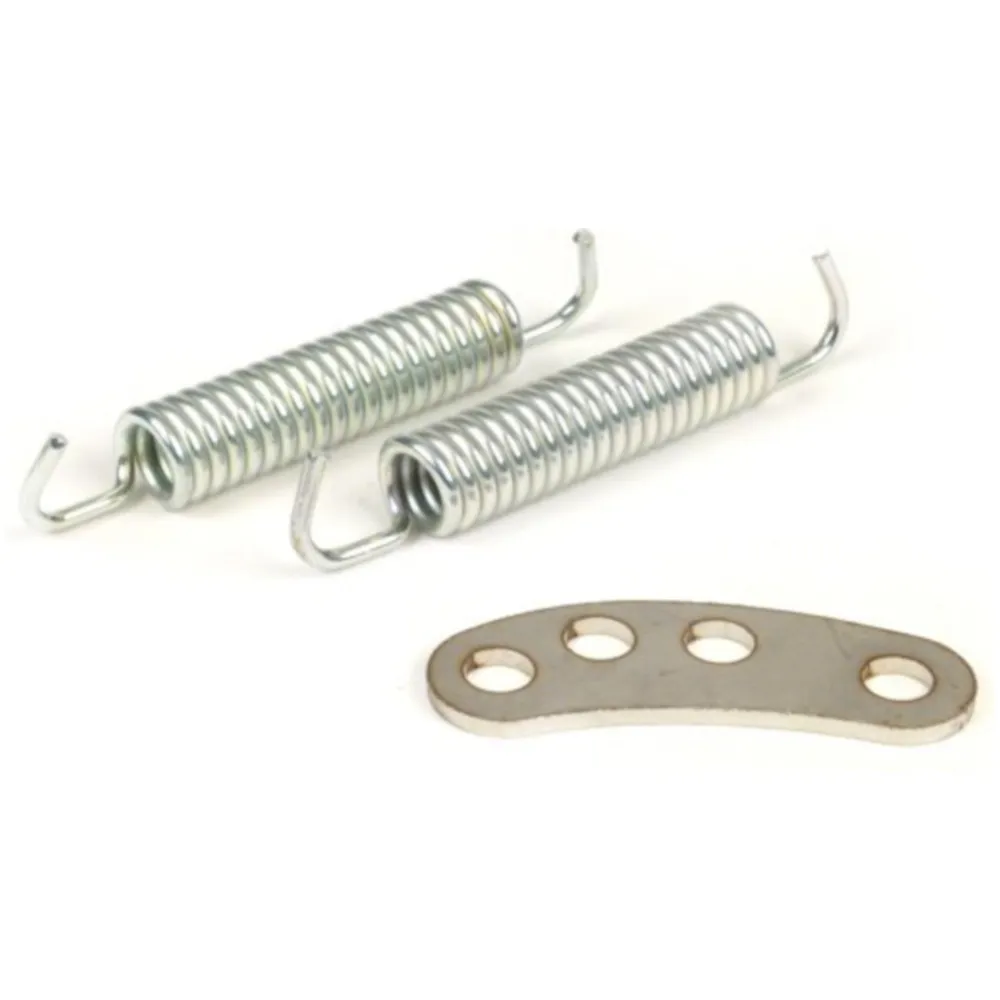 Retaining plate incl. exhaust springs -BGM PRO BigBox SPORT-_3