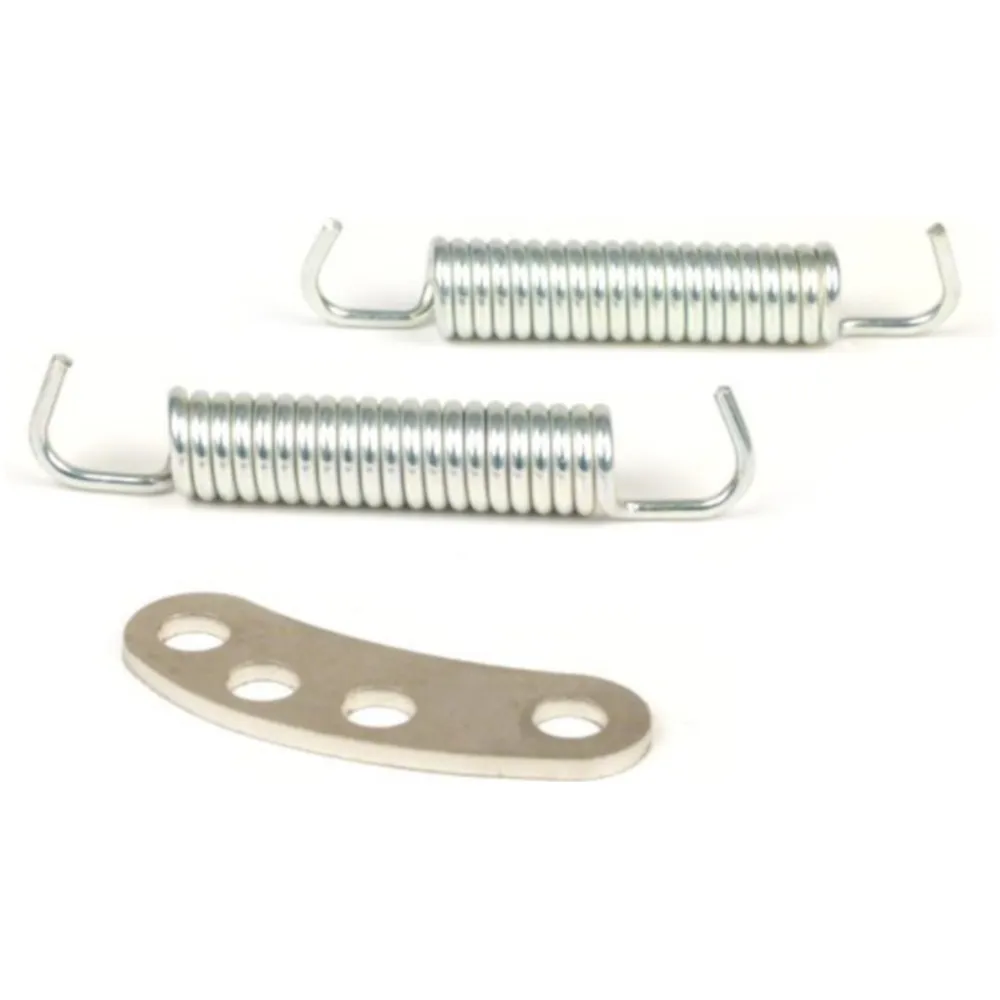 Retaining plate incl. exhaust springs -BGM PRO BigBox SPORT-_2