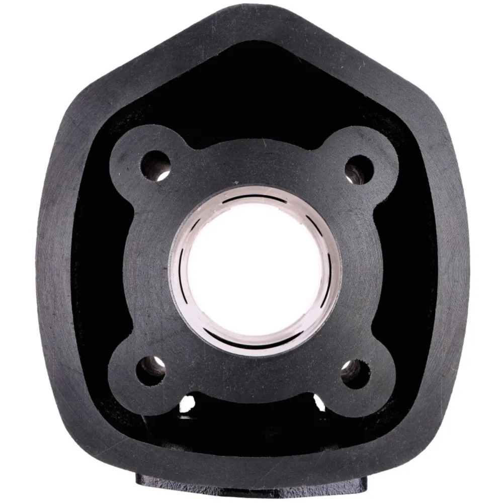 cylinder kit DMP 50cc for Piaggio NRG, NTT, ZIP SP, Gilera R_2