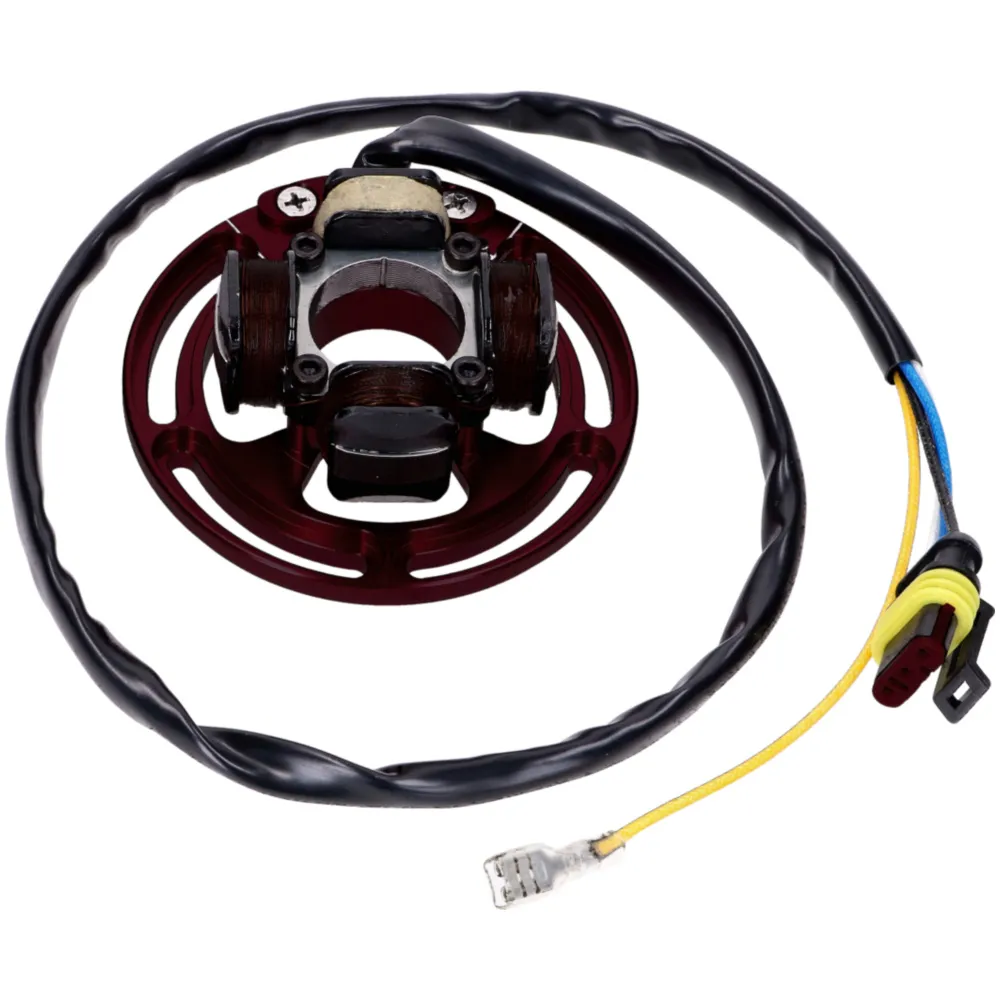 Ignition EVO swiing for Sachs 503 AAL, ABL, 2AL, 2 BL 55151_2