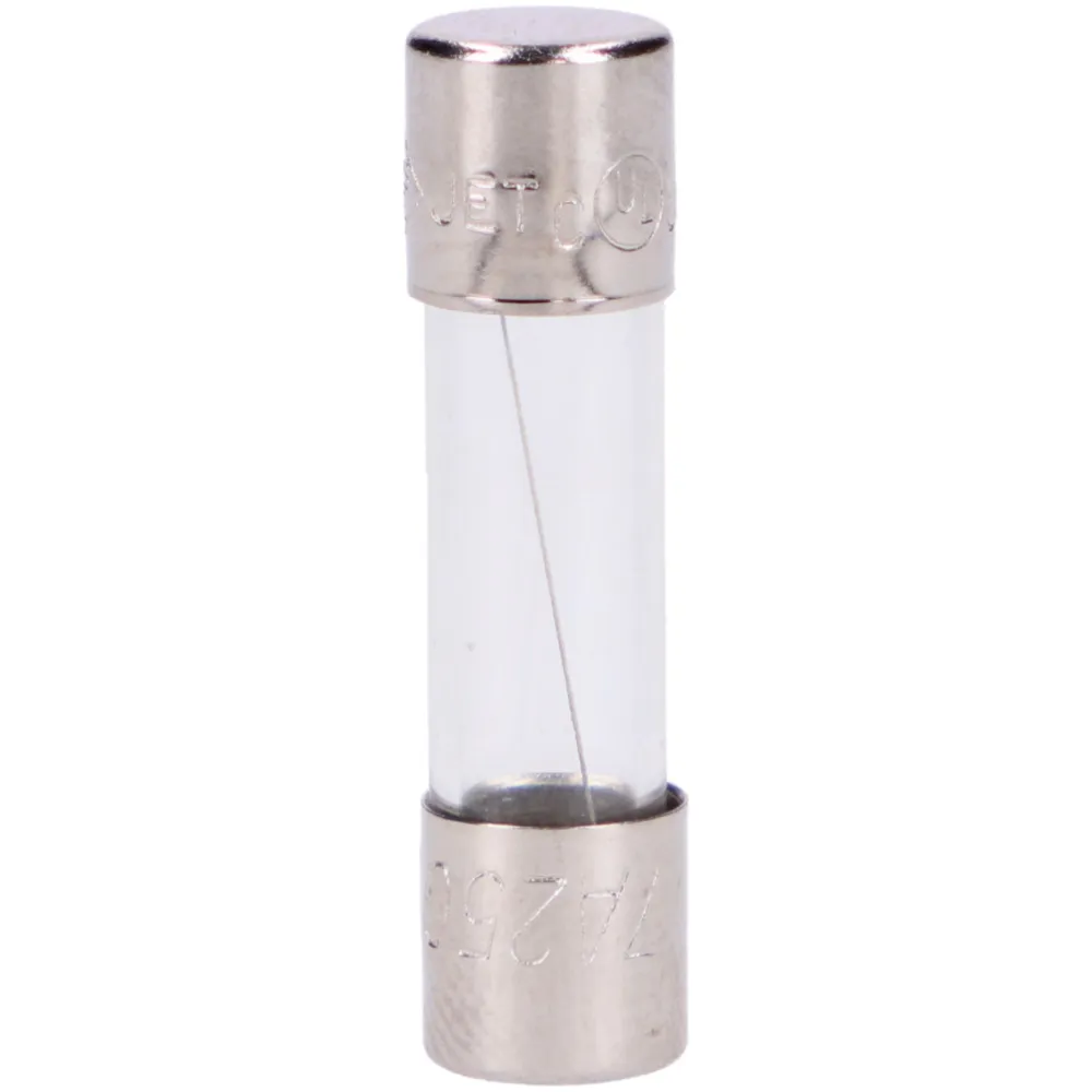 Sicherung Glassicherung 30x6mm 10A 55419_1