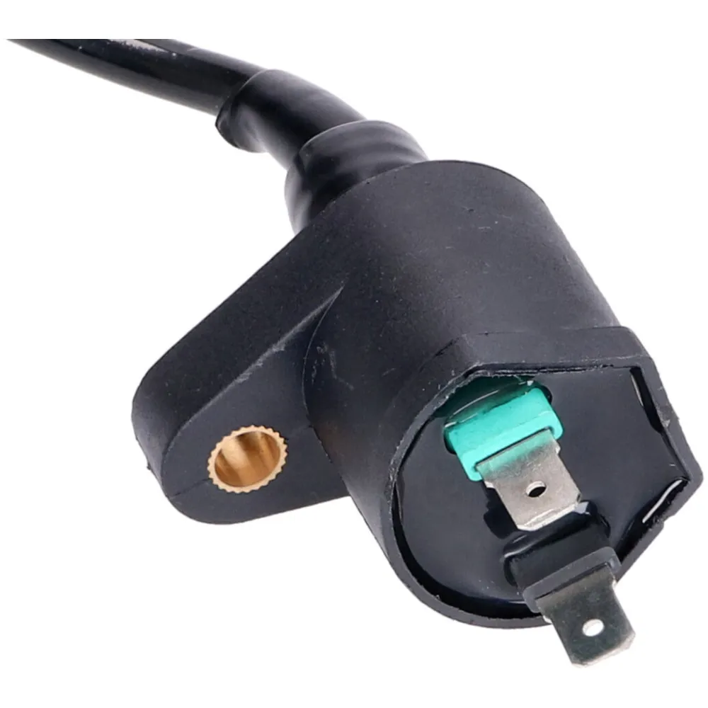 ignition coil with spark plug cap BT22001_2