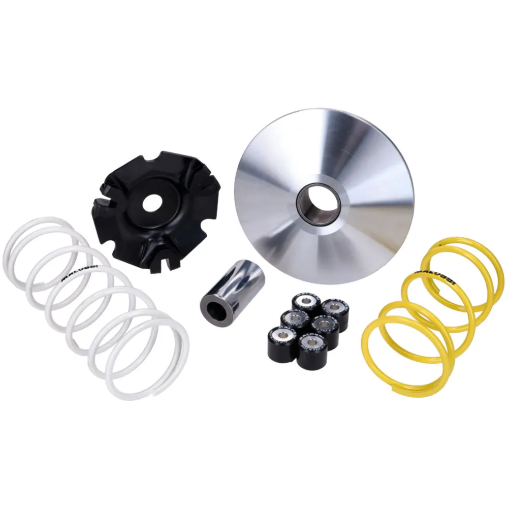 variator Malossi Multivar 2000 for Honda Forza, PCX, SH 125-_1