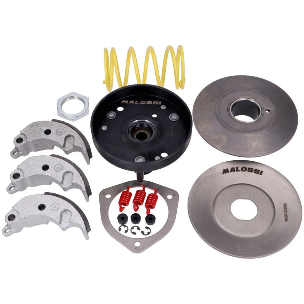 Clutch kit Malossi Fly Clutch 102mm for Piaggio M.5218223_1