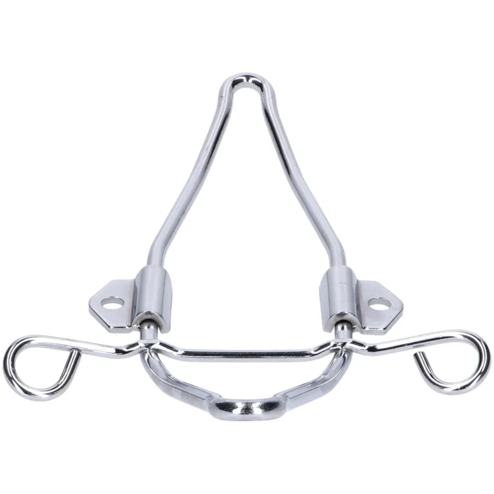 Kotflügelhalter Chrom vorne für Kreidler Florett, Mustang, C_2