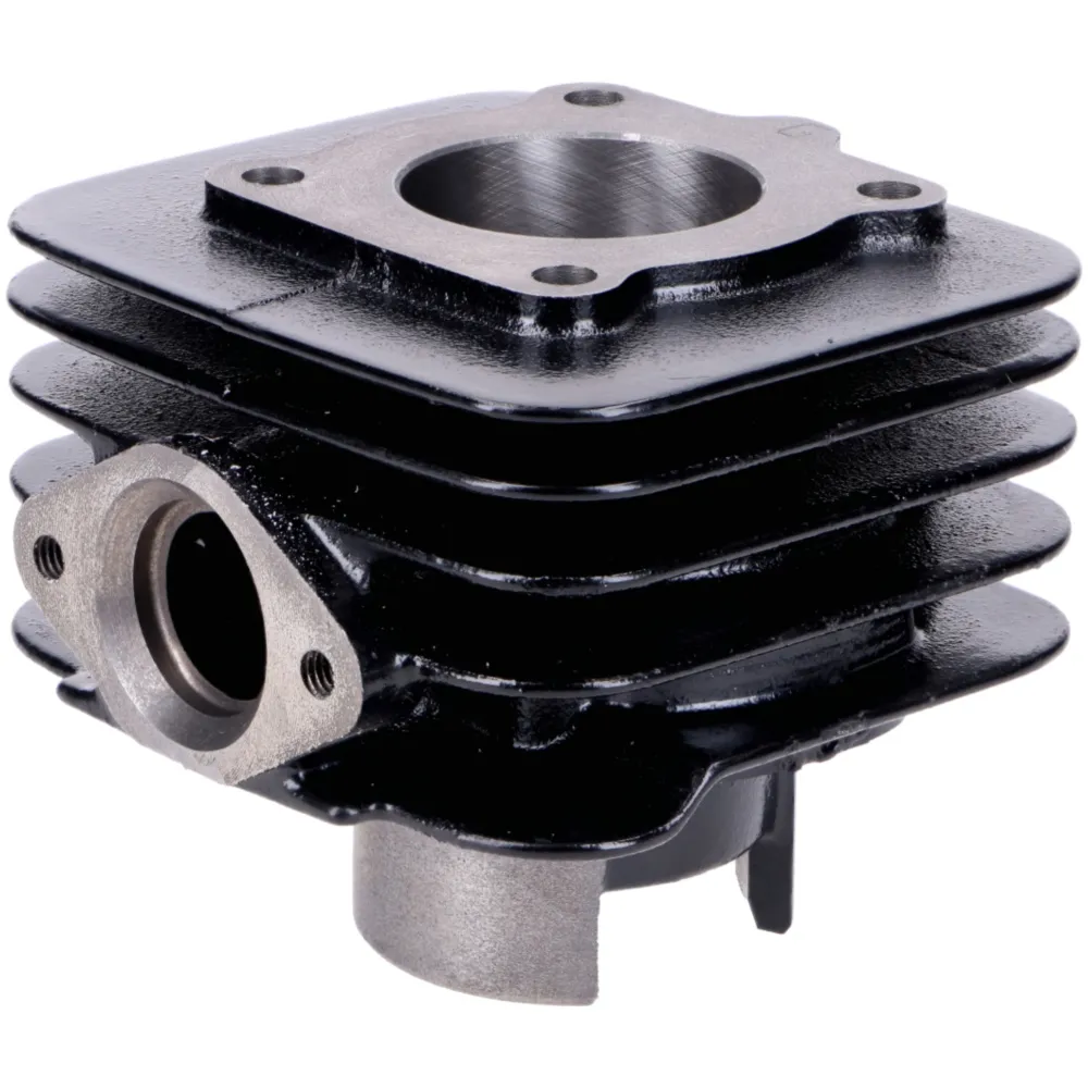 Cylinder kit Top Performances Trophy 50cc 40mm for Piaggio A_1