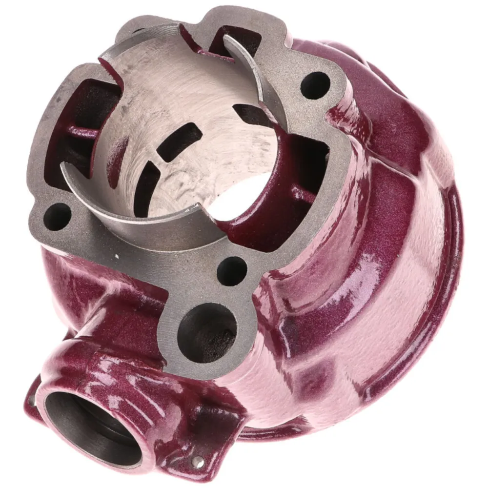 cylinder kit Top Performances 2 Plus 75cc 49.5mm for Minarel_1