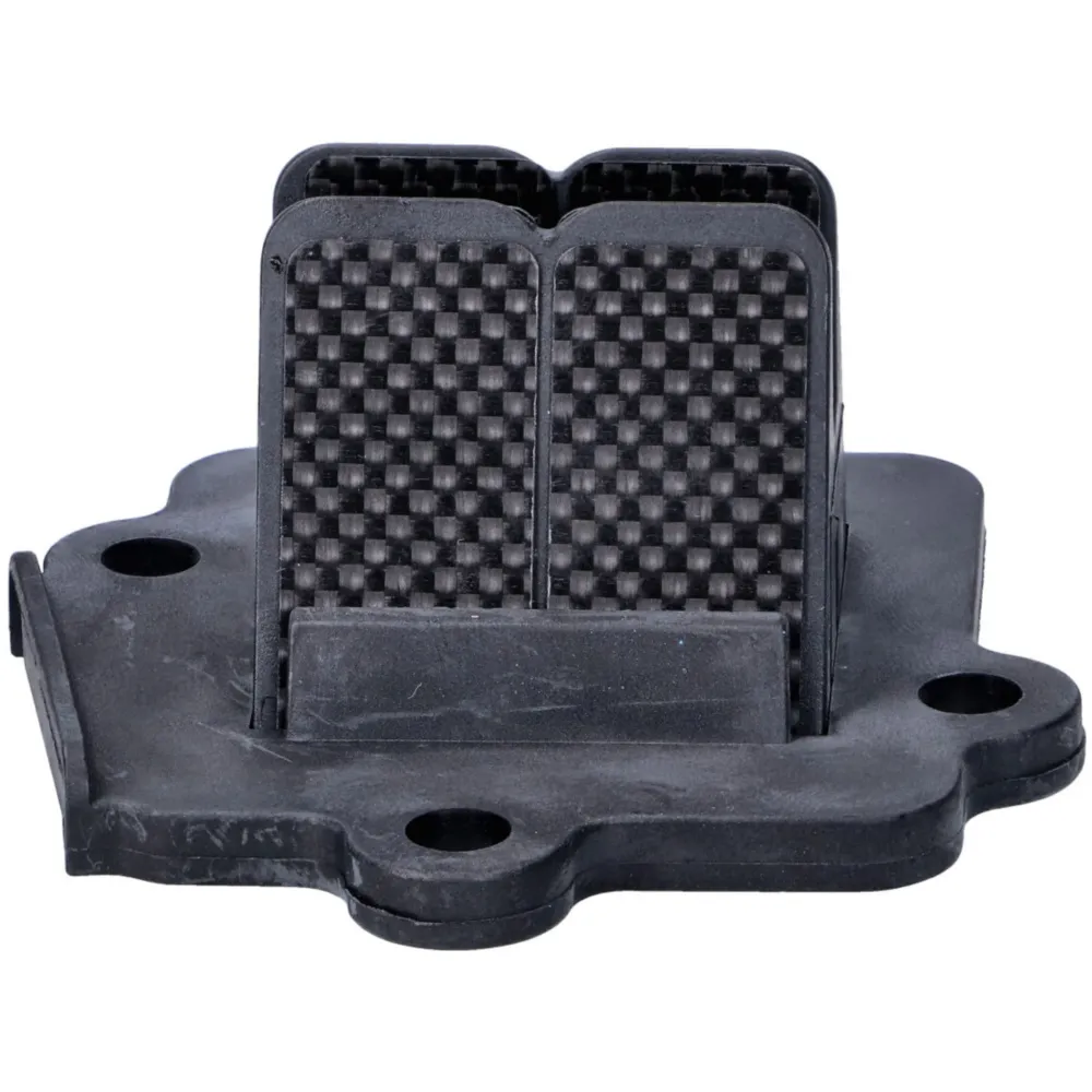 reed valve assy Voca Bestia 50cc for Minarelli horizontal, C_2