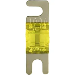 Mini ANL Fuse 100A 42x12 for Motorcycles