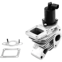 AGR Ventil mit Dichtung für Motorräder 3080825
