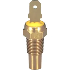 Kühlmitteltemperatursensor ID