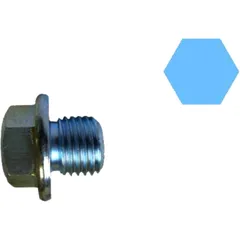 Oil Drain Plug with Gasket for Vehicles by Corteco