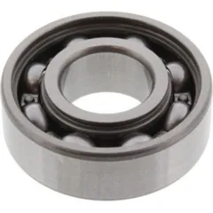 bearing 6202Z