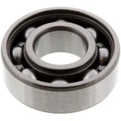 Roller Bearing 6202 ZC3 for Motorcycles