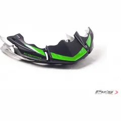 Bugspoiler Puig 4525J