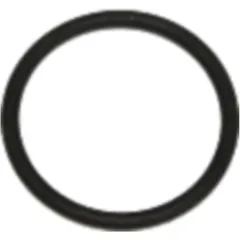 Sealing Ring FPM 16X19X1.5 for Chevrolet