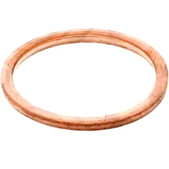 Copper Sealing Washer 24X29X2 for: RENAULT TRUCKS, VOLVO