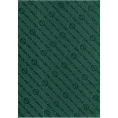 EWP 210 Gasket 1540X1015X0.5 for motorcycles