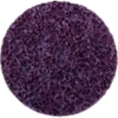 Schleifscheibe Vlies Coarse 51 mm Roloc