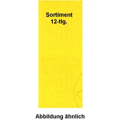 Schleifpapier Sortiment 115x280 für Schleifen von Füller und Lack
