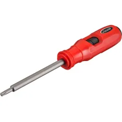 SCHLAGSCHRAUBENDR Torx V7124T25
