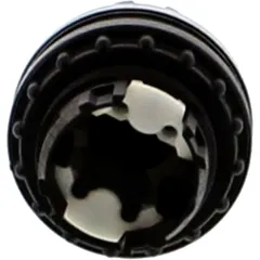WAHLTASTE Nussbaum für LICHT CLT 990446