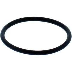 O-Ring for Nussbaum Piston