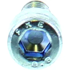 Entlüftungsschraube M6x12 für Becker MD 155