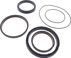 Dichtsatz für Hydraulikstempel Maestro M30