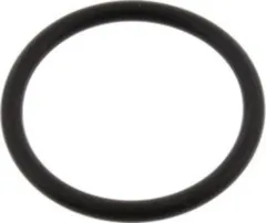 O-Ring 30X3 für Teleskop-Drehteller