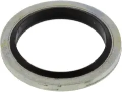 Dichtring Schlauchanschluss für JMP Fox 4000 H