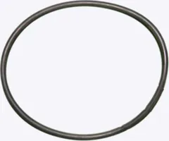 O-Ring for Nussbaum Stamp Seal 172 mm