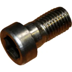 Cylinder Head Screw M16x30 DIN 912 - Stainless Steel