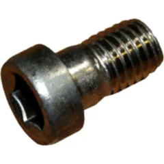 Cylinder Head Screw M12x20 DIN 6912 V2A flat head