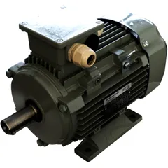 3KW Electric Motor Blitz BKES 501
