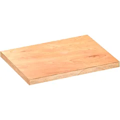 ARBEITSPLATTE hinten links V60000676