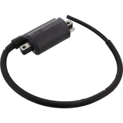 Ignition coil AP0265480