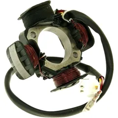 Lichtmaschine Stator 101 Octane passend für: Derbi Vamos, Atlantis, Predator