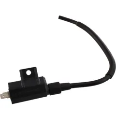 ignition coil / spark coil 211210018