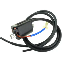 12V Coil Original Replacement Part for Motorcycles