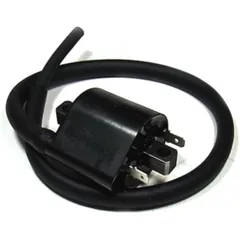 12V Ignition Coil for Motorcycles 7002280