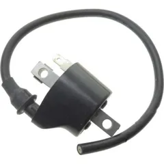 Ignition coil 979300