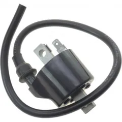 Ignition coil 979302