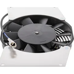 Fan all balls racing 701027