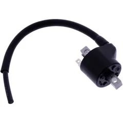 Ignition coil for: Beta RR, RX 7003053