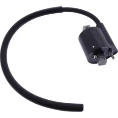 Ignition coil 1105096