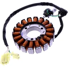 Lichtmaschinen-Stator RMS