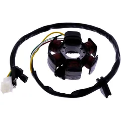 Lichtmaschine Stator 101 Octane passend für: Derbi Senda, GPR, Fenix, Malaguti F (12, 10, 15), Centro, Ciak