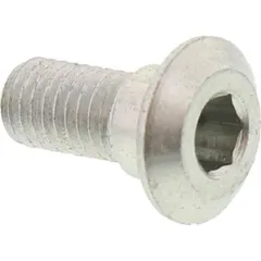 Brake disc bolt 800061777